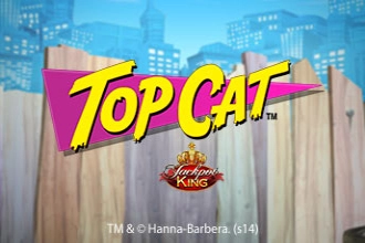 03041 top cat