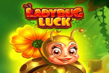 18222 ladybug luck